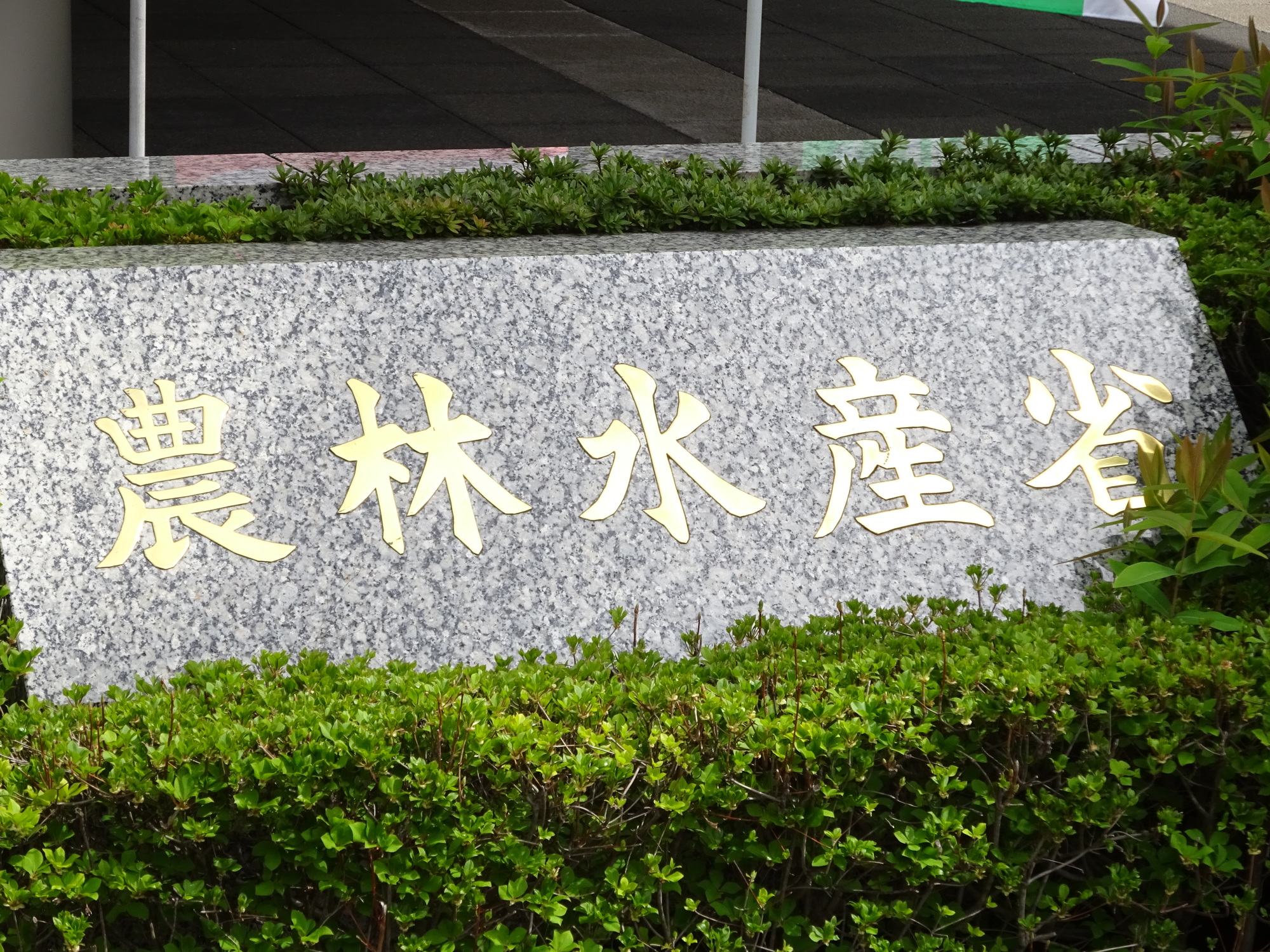 輸出向けHACCP等対応施設整備事業補助金の概要